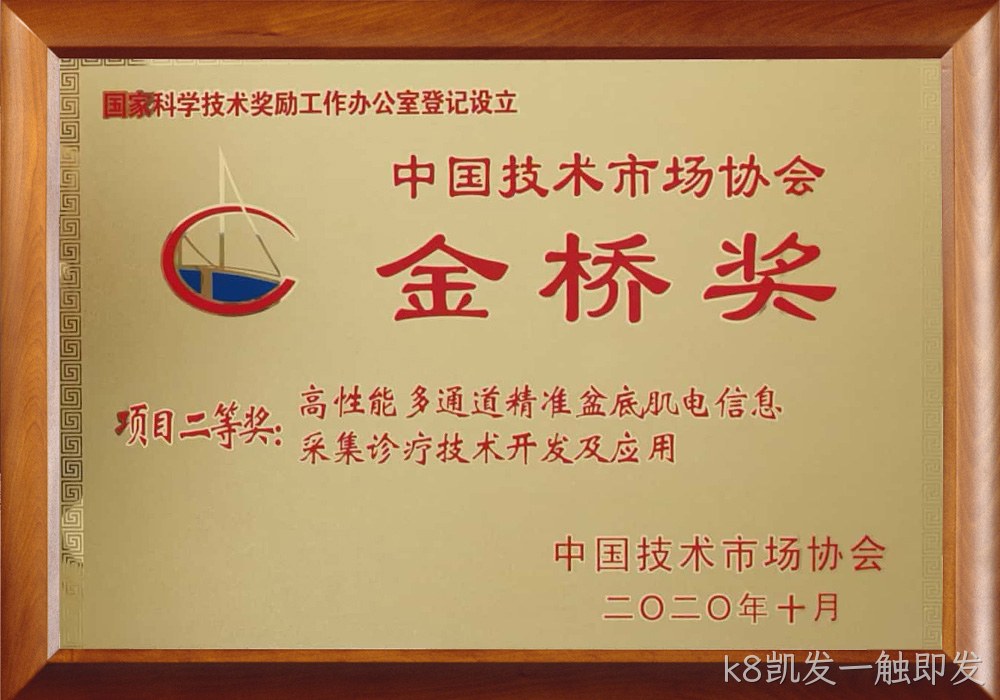 金桥奖铜牌