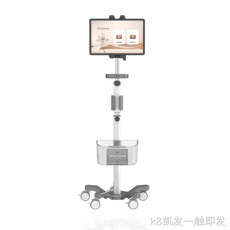 电子阴道视检镜